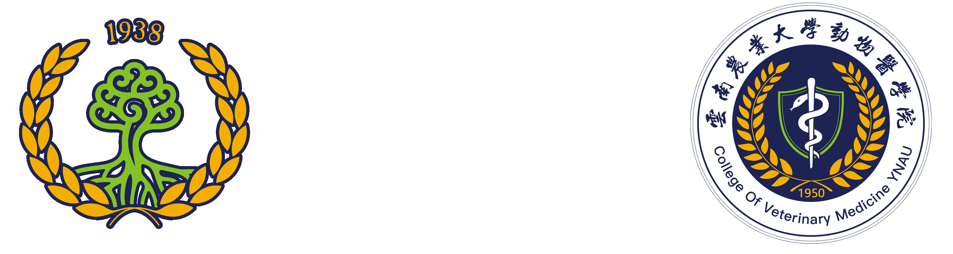 365上市集团官网